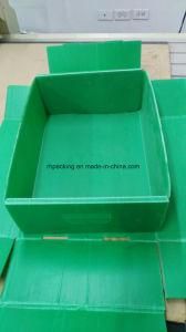 3mm Green Polypropylene Plastic Box of Cover and Bottom/Corflute Corrugated Box