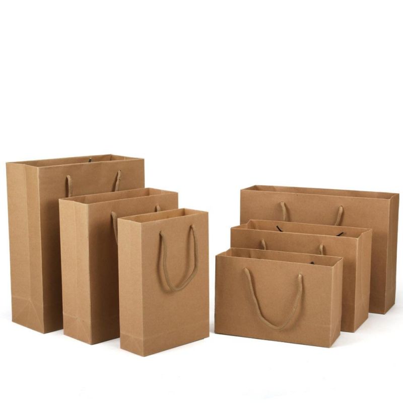 Factory Direct Sale Good Quality Custom Logo Brown Kraft Paper Bag with Twisted Handle