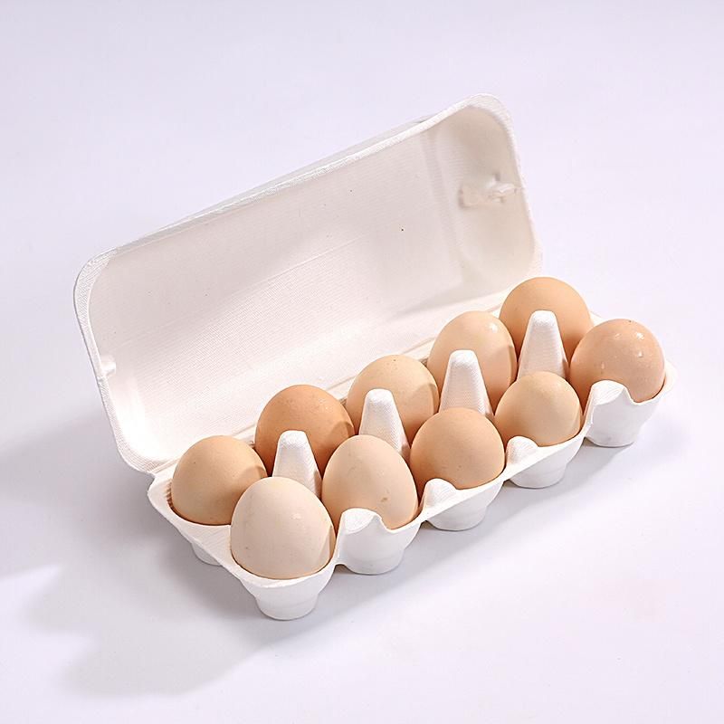 Zhongxin Wholesale Disposable Compostable Egg Box Paper Egg Tray