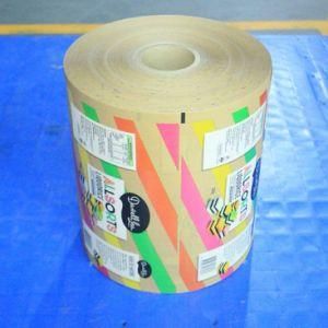 Plastic Food Wrapping Film Printing Sachet Packaging