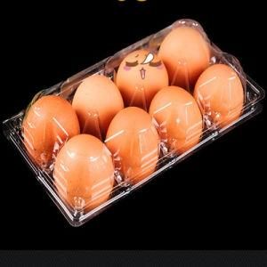 Pet PVC Plastic Clamshell Package Egg Tray with 6 and 8 Holes