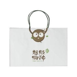 Factory Price Shopping Paper Bag with Printing Logo