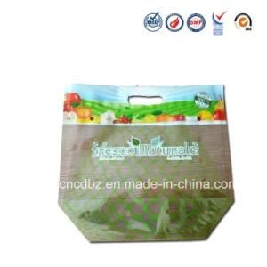 Antifog Palstic Stand up Pouch with Handle for Mesh Fruit Packaging Bags