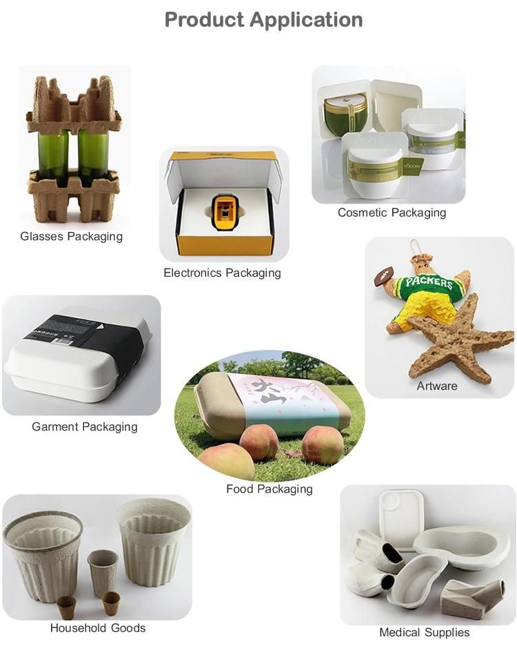 Biodegradable Disposable Packaging Paper Pulp Molded Carton Trays