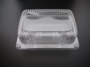 Transparent Disposable Meal Prep Plastic Food Container