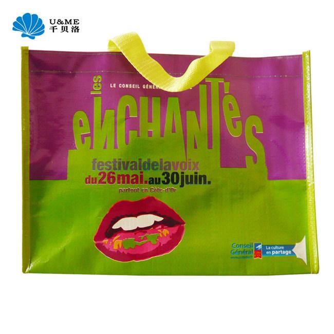 Matt Eco-Friendly Laminated Plastic PP Woven Shopping Bag