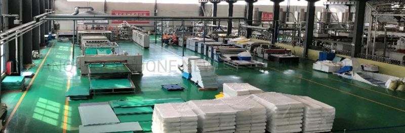 Corrugated Plastic Box for Vegetable and Fruit Boxes for Seafood Boxes of Correx Boxes and Coroplast Box