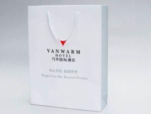 Manufacturing Professional Custom Paper Bag/Shopping Bag/Gift Bag