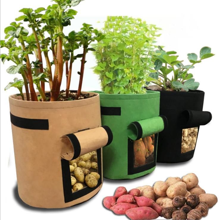 Grow Vegetables Basin Growing Potatoes Vertical Garden Pot Planter Bag