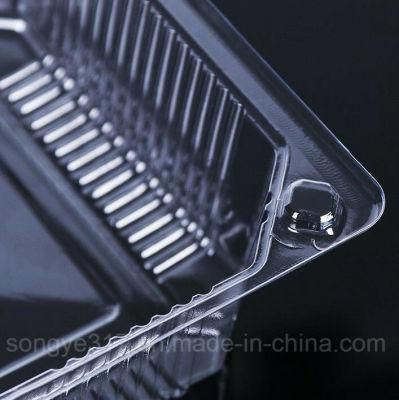 a Disposable Transparent Fruit Plastic Package Pet Has a Food Fruit and Vegetable Box