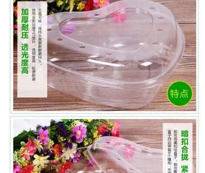 Transparent disposable plastic fruit packaging tray