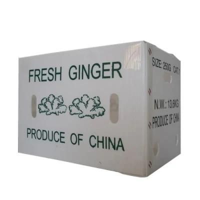 Fresh Fruits Vegetables PP Corrugated Plastic Box