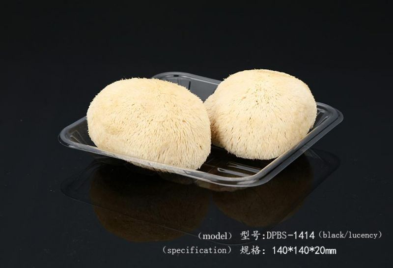 Customized Disposable Fresh Food Biodegradable Packing Box