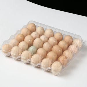 Transparent Plastic Pet Egg Tray Packaging for Sale