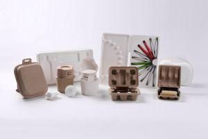 Biodegradable Molded Pulp Insert Tray for Packaging