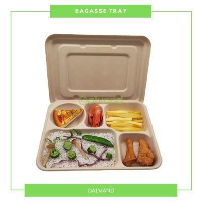 5-Compartment Biodegradable Disposable Sugarcane Bagasse Takeaway Food Tray (Meat Tray/ Fruit Tray)