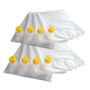 3L 5L Nylon PE Laminated Transparent Bag in Box