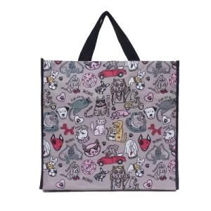 Custom Woven Plastic Color Printing Bag with Handle