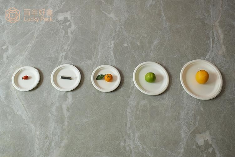 Biodegradable Compostable Eco Friendly Disposable Sugarcane Bagasse Plate