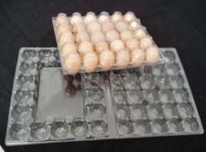 Biodegradable Plastic Blister Packaging Eggs Holder Box Transparent Container