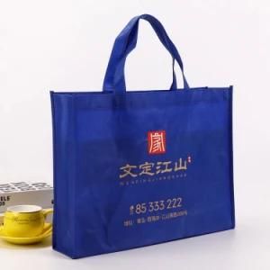 Customized Color Printed Non Woven Shopping Bag with Logo