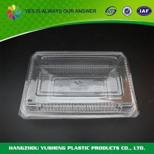 Biodegradable High Quality Disposable Food Container