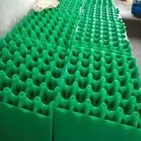 Hot Sale Plastic 30 Egg Trays 2020