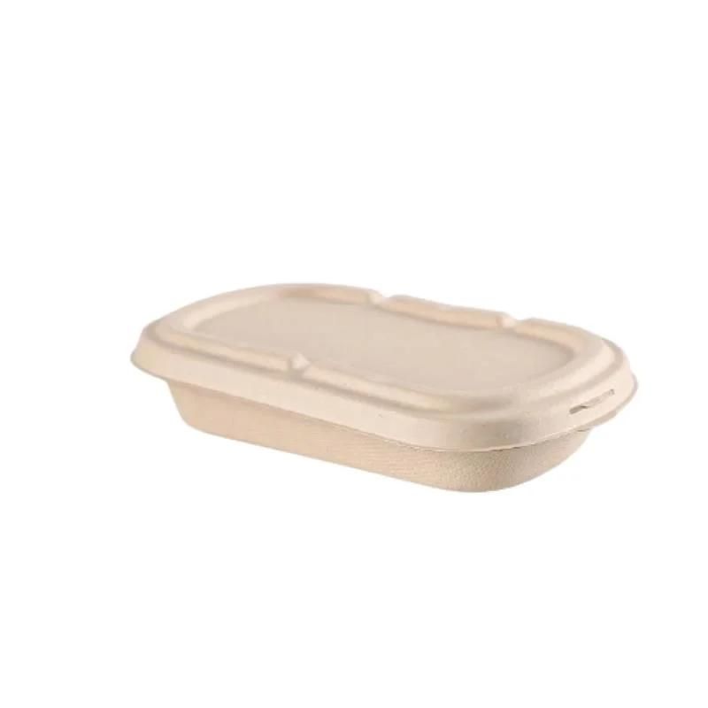 Biodegradable 500ml to 1000ml Food Packaging Lunch Box Set