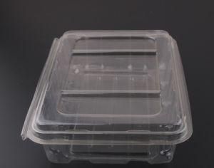Plastic Transparent Container Disposable Pet Food Box