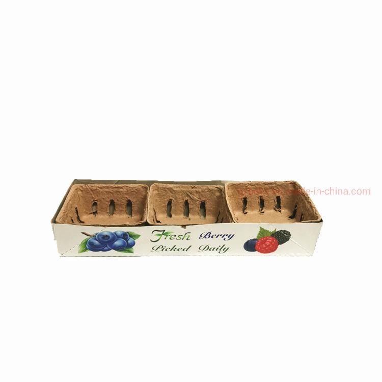 Paper Fruit Punnet Pulp Vegetable Box Mushroom Punnet Packaging Tray Strawberry Blueberry Corrugated Fruit Container