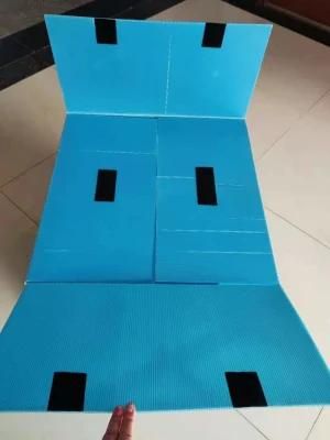Blue Foldable Coroplast PP Corrugated Plastic Storage Box with Lid
