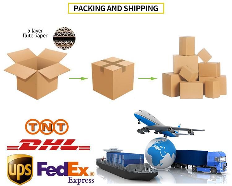 Shipping Packaging Padded Envelopes Poly Custom Shopping Bag Kraft Bubble Mailer