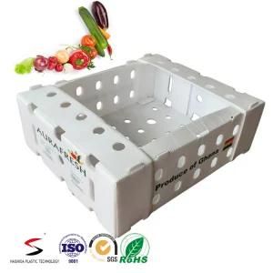 Plastic Corrugated Vegetable Box