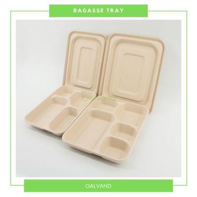 5-Compartment Biodegradable Compostable Sugarcane Bagasse Takeaway Food Tray