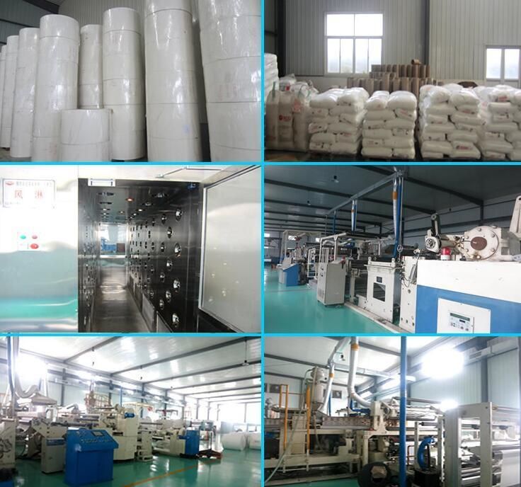 Medical Use PE Coated Paper for Sterilizing Paper Bag