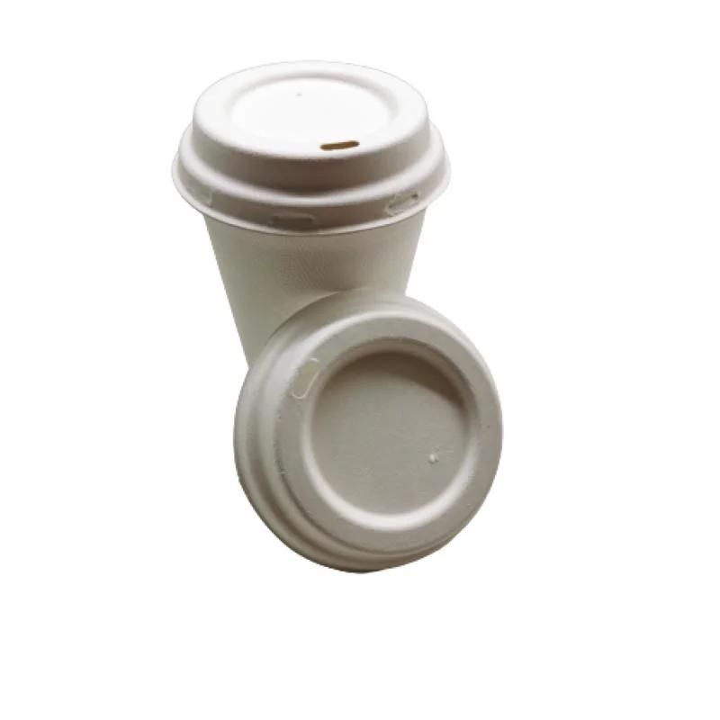 Custom Logo Printed Biodegradable Drinking Cups with Cup Lids