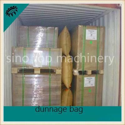 China Woven Paper Dunnage Air Bag Container Use