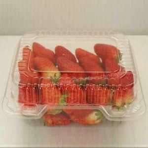 Clear APET Plastic Packaging for Fruits and Vegetable