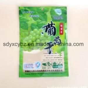 Customized Nuts/Dried Fruit 3-Side Sealing Plastic Packing with Window