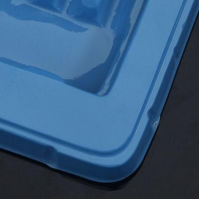 Customized Size Blister Disposable Transparent Plastic Trays for Small Product