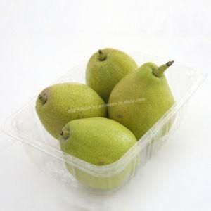 PVC Clear Plastic Tray for Fruit Vegetable Packing