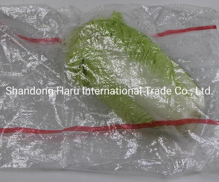 BOPP Plastic PP Woven Sacks Packing Bags with Handle
