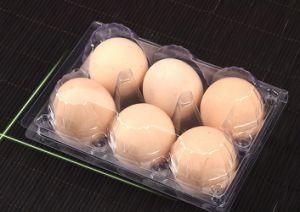 Plastic Package Poultry 6 Cell Eggs Cartons Transparent Box