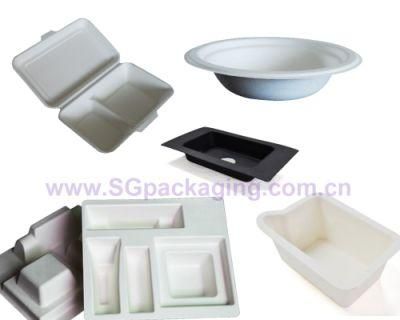 Sugarcane Pulp Paper Tray Molded Packaging