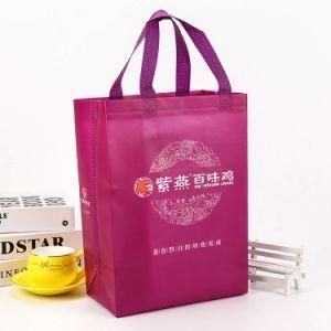 Customized Color Printed Non Woven Shopping Bag with Logo