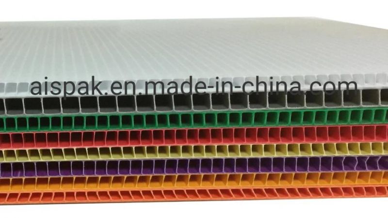 Polypropylene Material Plastic Corrugated Box for Packing