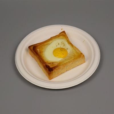 Compostable Disposable Biodegradable Eco Friendly Tableware Sugarcane Bagasse Plate