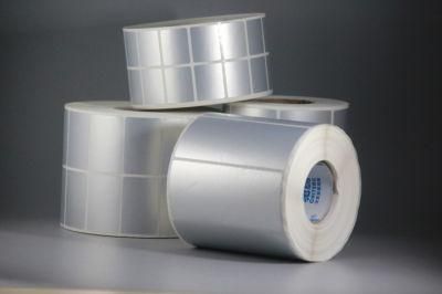 Waterproof Coated PP Synthetic Paper in Roll