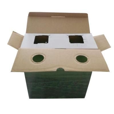 China Made Custom Paper Packaging Box for Oliver Oil