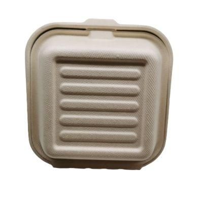 100% Compostable Sugarcane Bagasse Square Shape Food Packaging Box